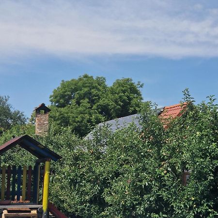 Pensiunea Silba Vad  Dış mekan fotoğraf